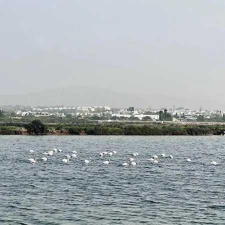 3 Bedroom In Marina Village Olhao
